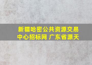 新疆哈密公共资源交易中心招标网 广东省源天